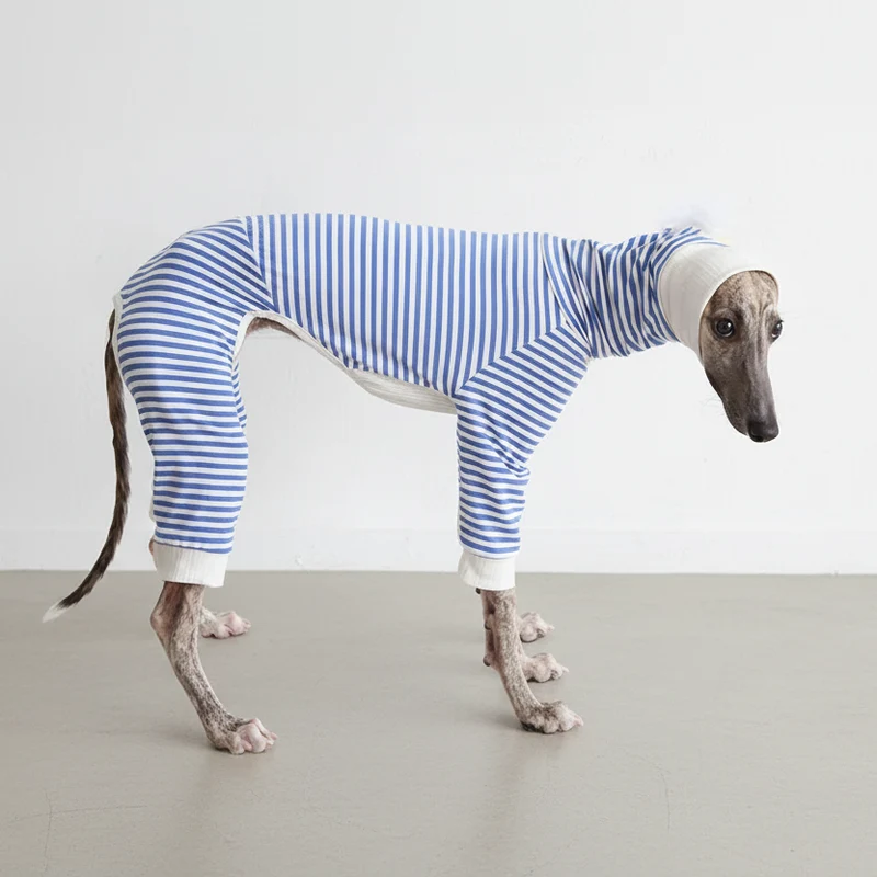 Pull Léger Confortable Pour Lévrier Et Whippet