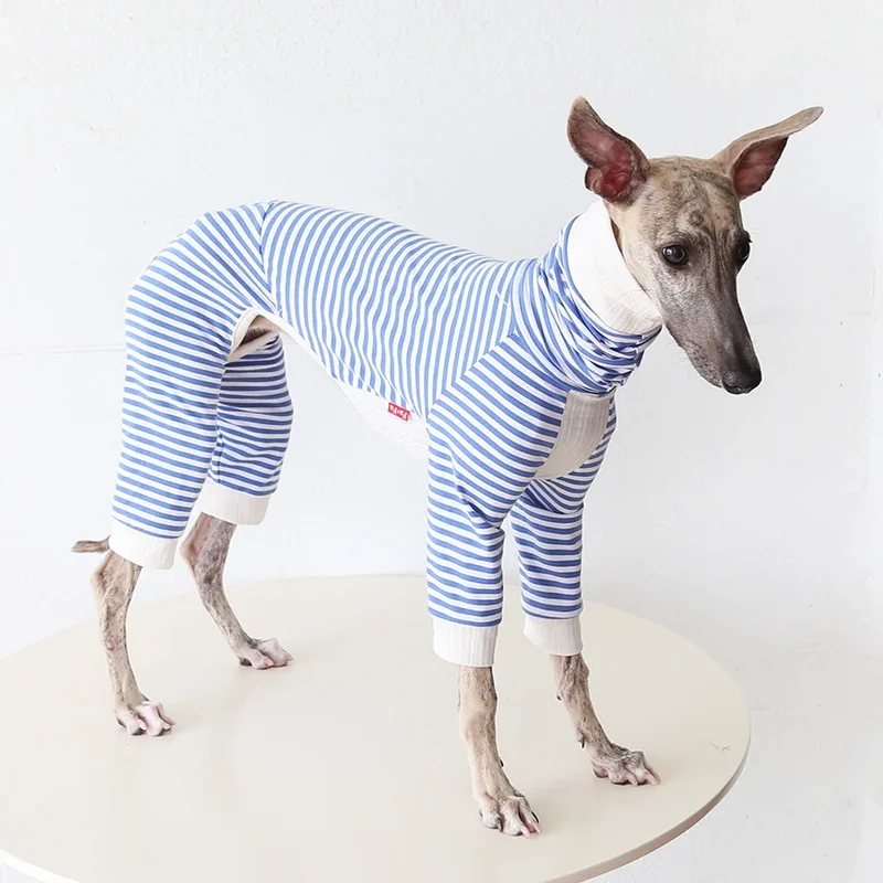 Pull Léger Confortable Pour Lévrier Et Whippet