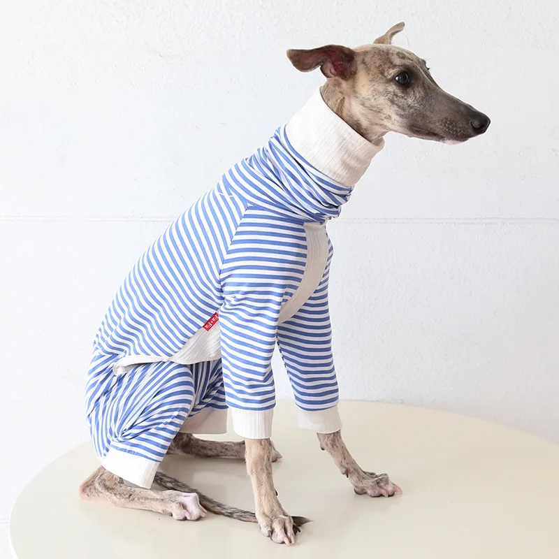 Pull Léger Confortable Pour Lévrier Et Whippet