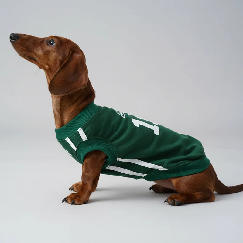 T-Shirt Confortable En Coton Pour Chien Teckel