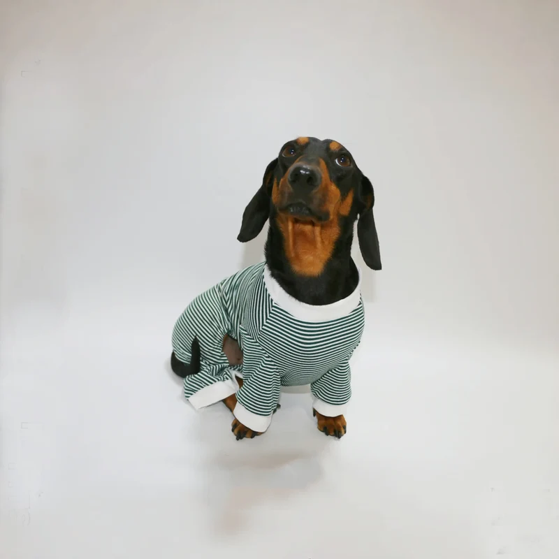 T-Shirt Rayé Manches Longues Pour Chien Teckel