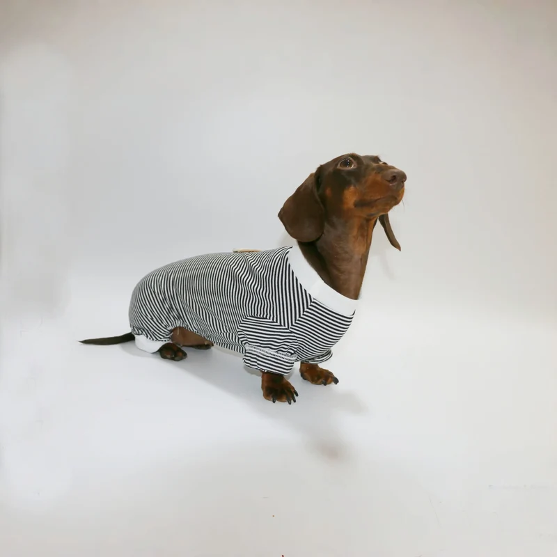 T-Shirt Rayé Manches Longues Pour Chien Teckel