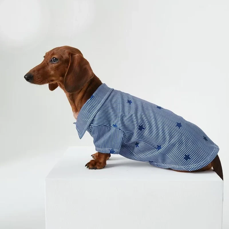 Chemise bleue teckel - Vêtement chien élégant et confortable