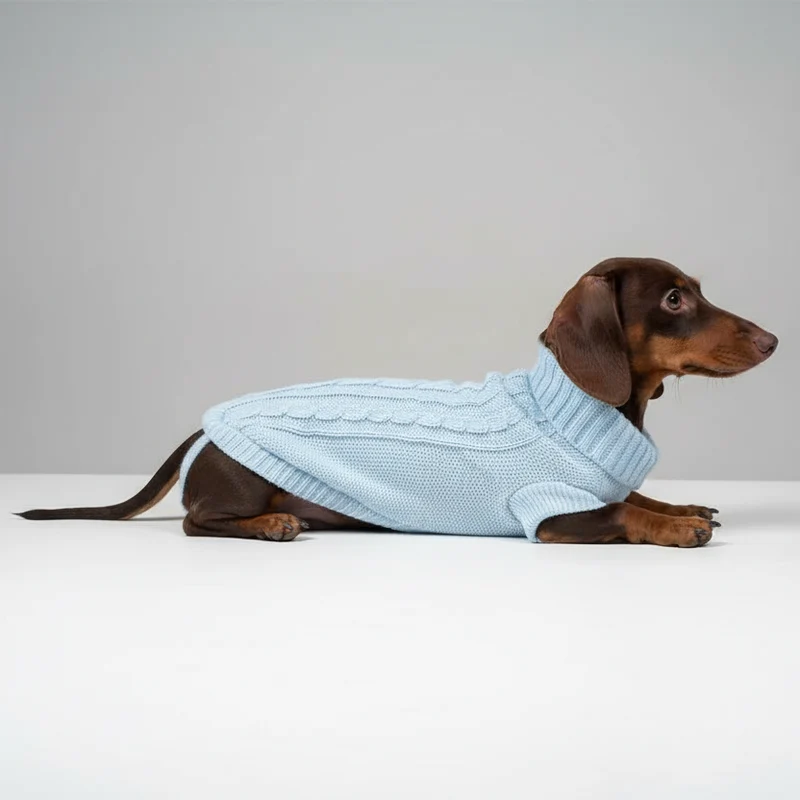 Pull Élégant Tricoté Pour Chien Teckel