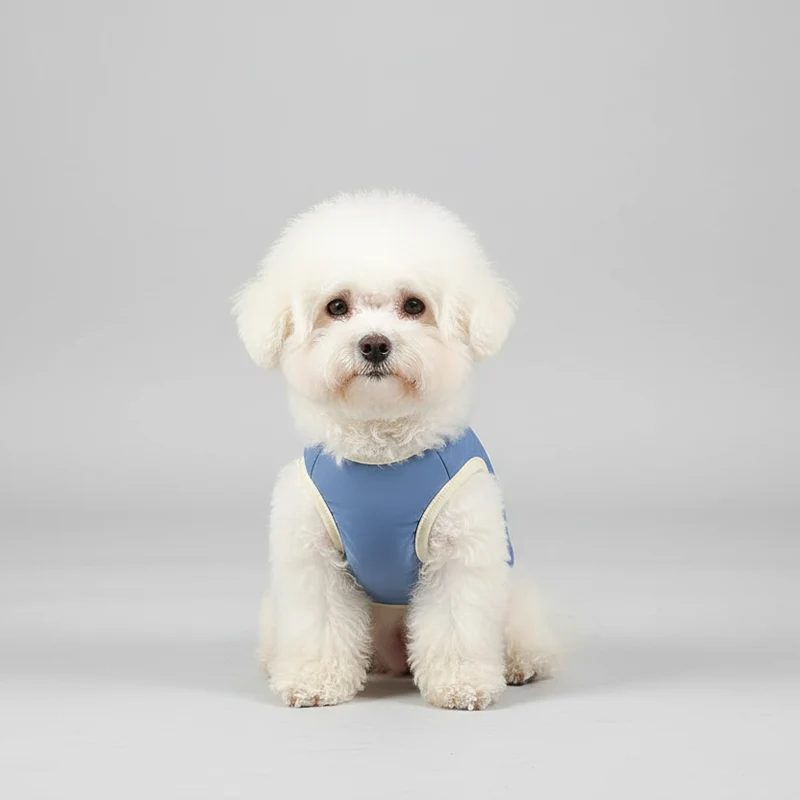 T-shirt Rafraîchissant Pour Petit Et Moyen Chien
