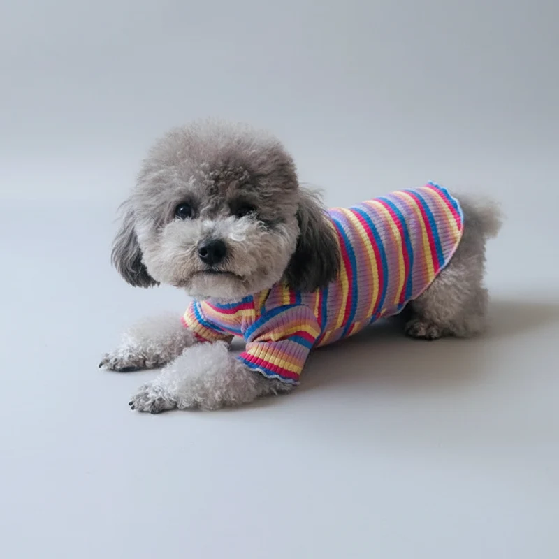 T-shirt Rayé Et Moderne Pour Petit Chien