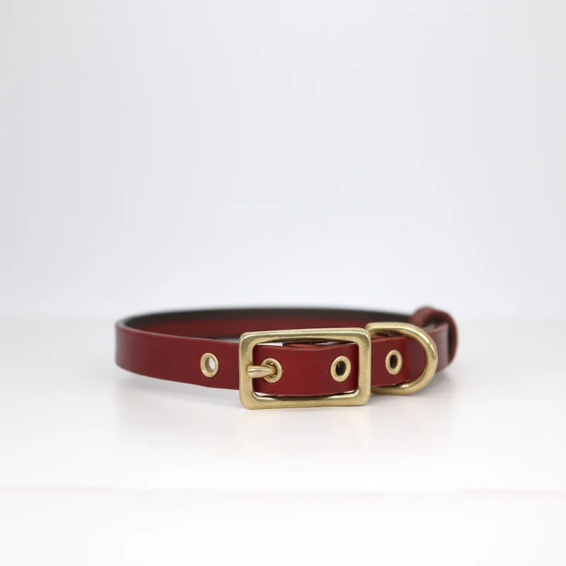 Collier Pour Chien En Cuir Véritable Personnalisable
