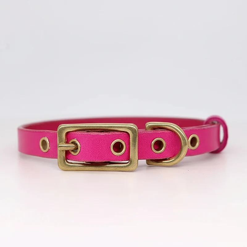 Collier Pour Chien En Cuir Véritable Personnalisable