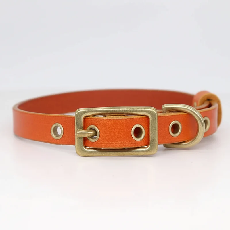 Collier Pour Chien En Cuir Véritable Personnalisable
