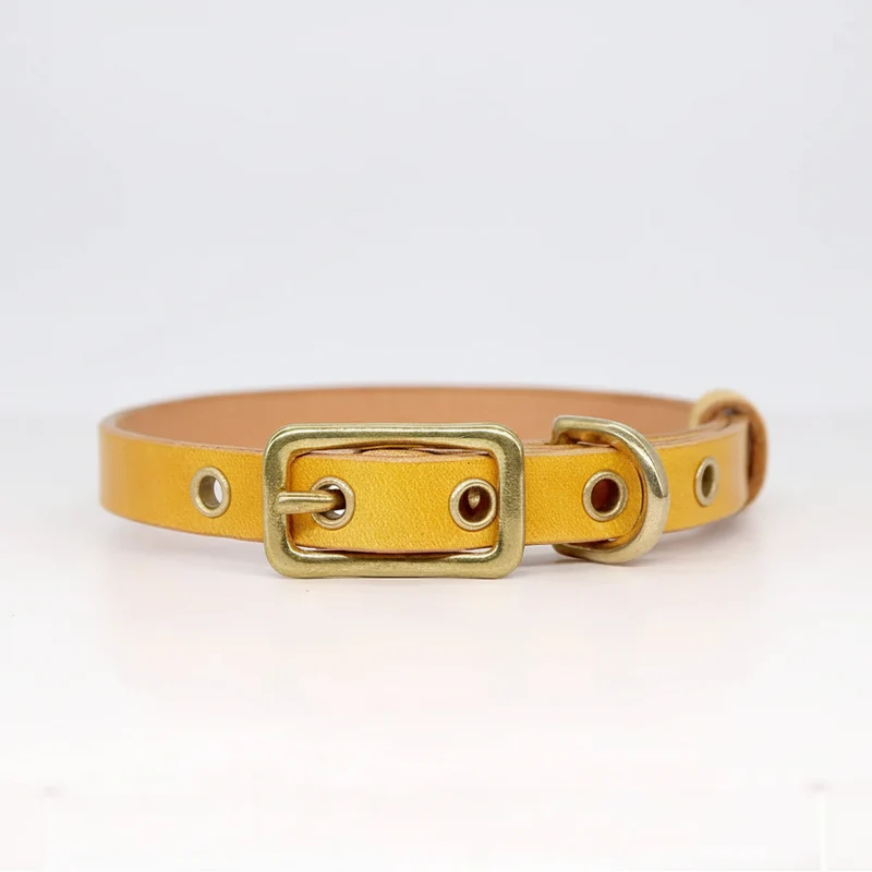 Collier Pour Chien En Cuir Véritable Personnalisable
