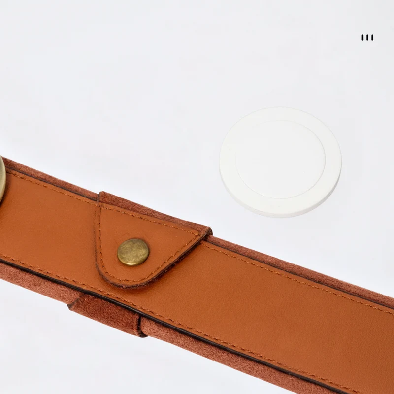 Collier En Cuir Avec Emplacement AirTag Pour Chien