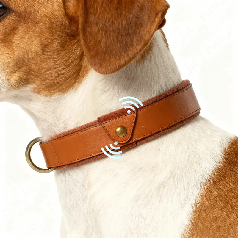 Collier En Cuir Avec Emplacement AirTag Pour Chien