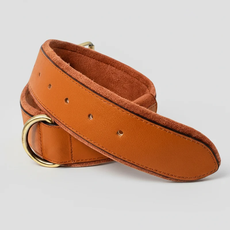 Collier En Cuir Avec Emplacement AirTag Pour Chien