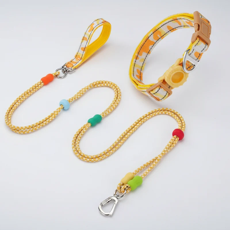 Ensemble Collier Avec Support Airtag Et Laisse Pour Chien