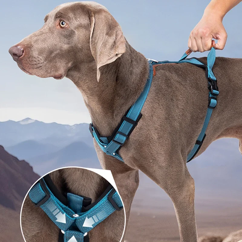 Harnais Réfléchissant Et Résistant Pour Chien
