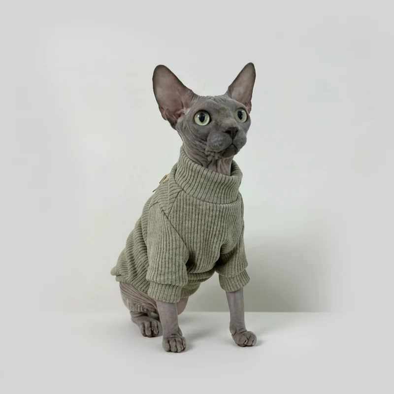 T-Shirt Col Haut Confortable Pour Chat
