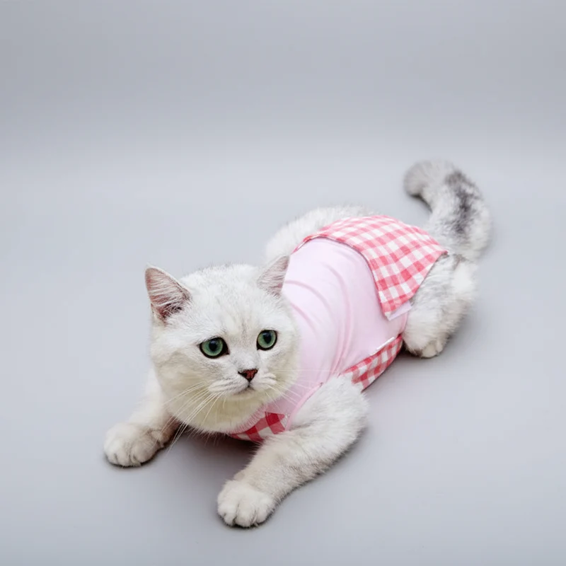Tee-shirt Post Opératoire Pour Chat