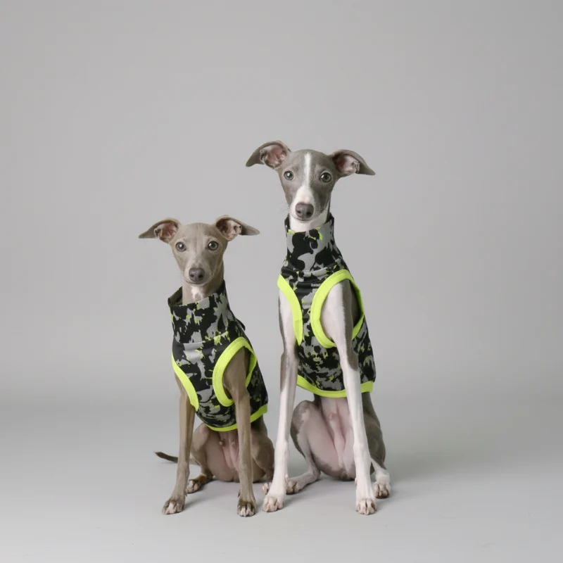 T-Shirt Pour Lévrier Italien Et Whippet Respirant Anti UV