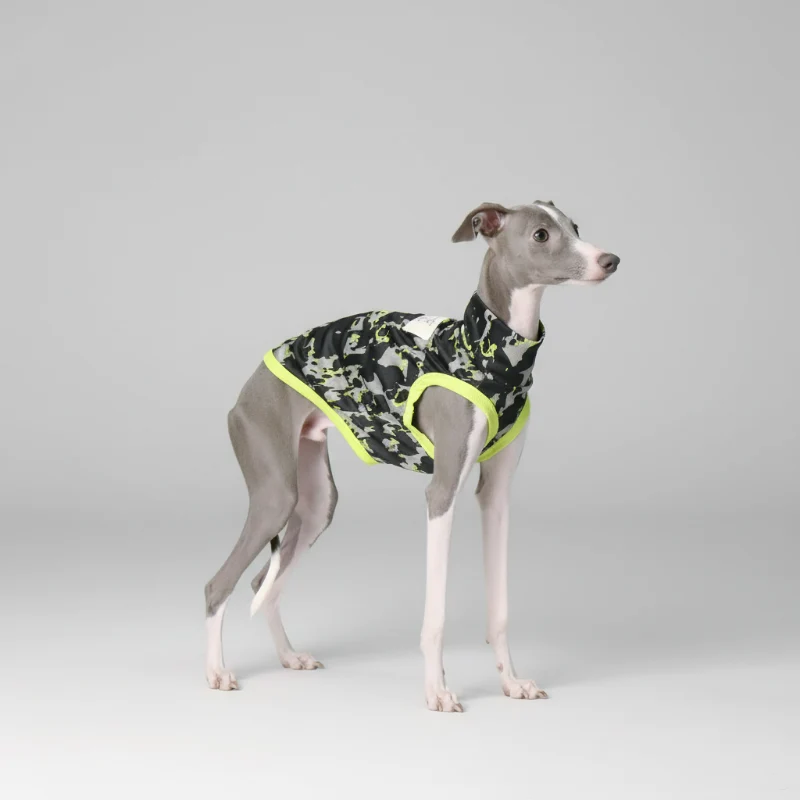 T-Shirt Pour Lévrier Italien Et Whippet Respirant Anti UV