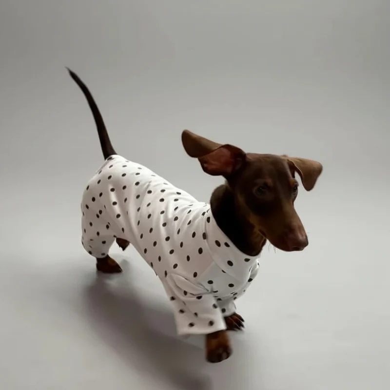 T-Shirt A Pois En Coton Doux Pour Teckel