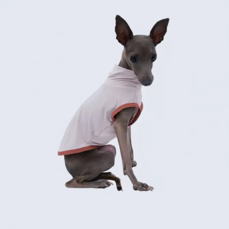 T-Shirt Respirant Et Doux Pour Lévrier