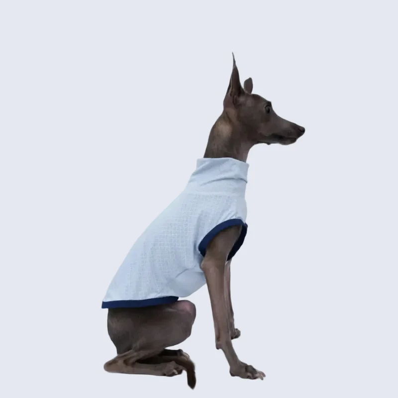 T-Shirt Respirant Et Doux Pour Lévrier