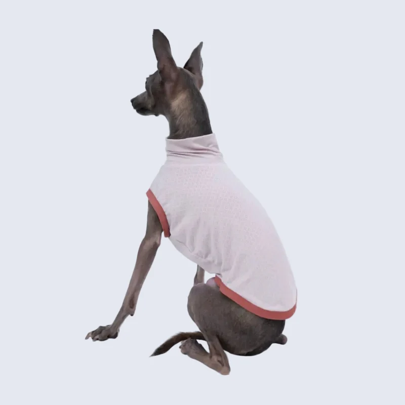 T-Shirt Respirant Et Doux Pour Lévrier