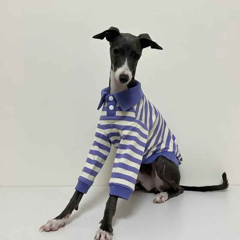 Polo Rayé En Coton Pour Chien Lévrier Et Whippet