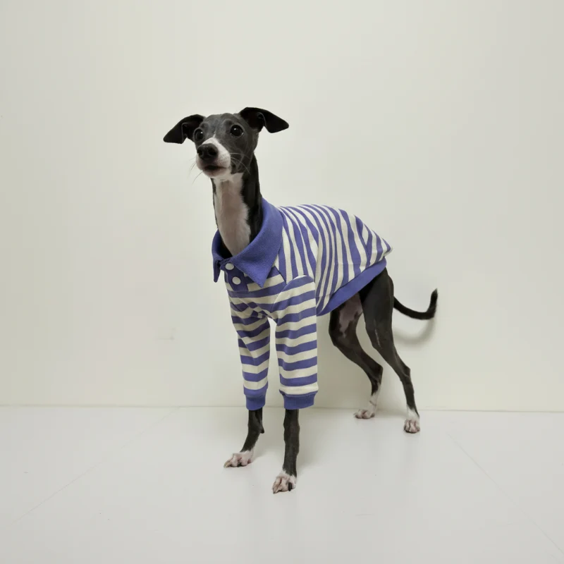 Polo Rayé En Coton Pour Chien Lévrier Et Whippet