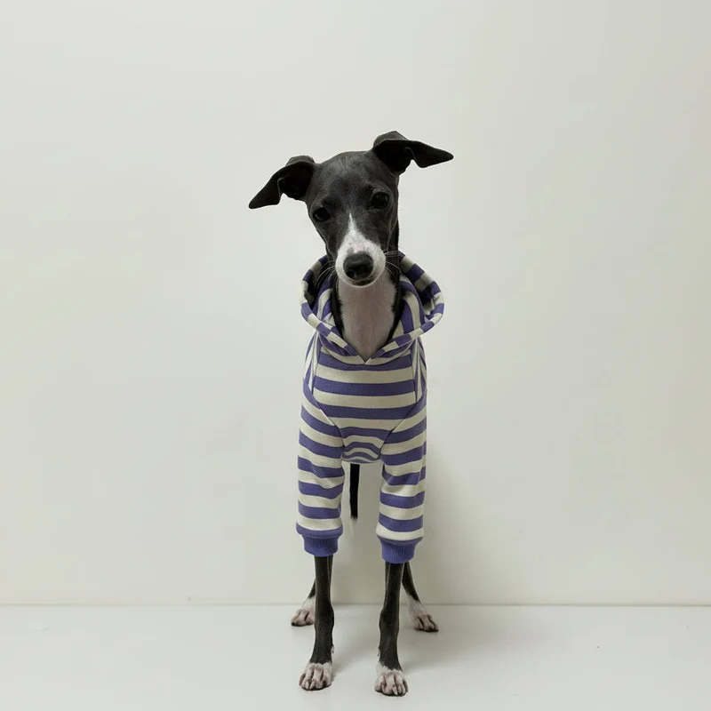 Polo Rayé En Coton Pour Chien Lévrier Et Whippet