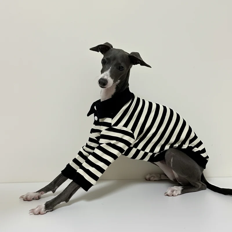 Polo En Coton Rayé Pour Lévrier Et Whippet
