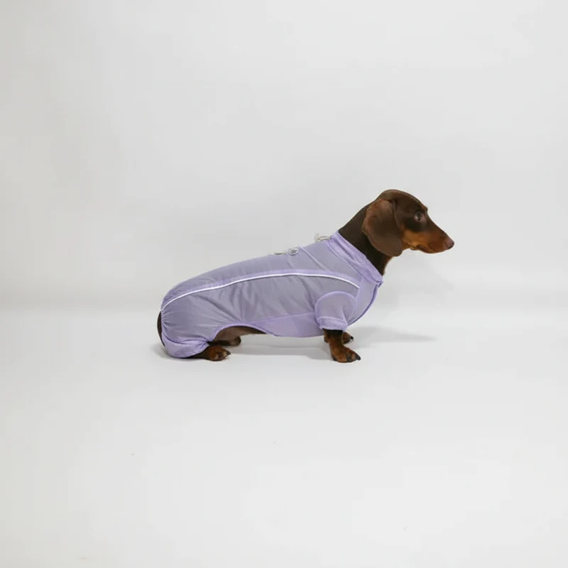 Chemise Été Avec Protection UV Pour Chien Teckel