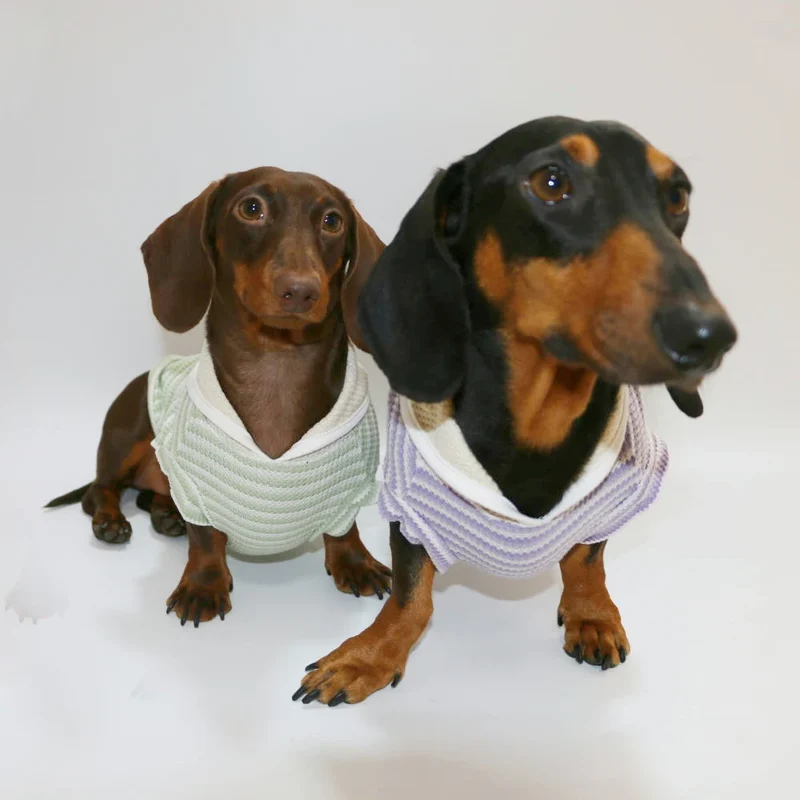 T-shirt Rayé Sans Manche Pour Chien Teckel