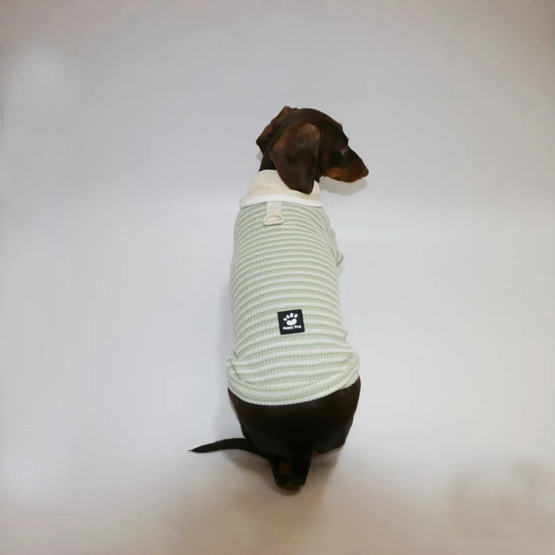 T-shirt Rayé Sans Manche Pour Chien Teckel