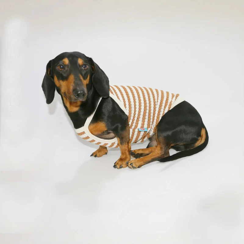 T-Shirt Eté En Coton Pour Chien Teckel