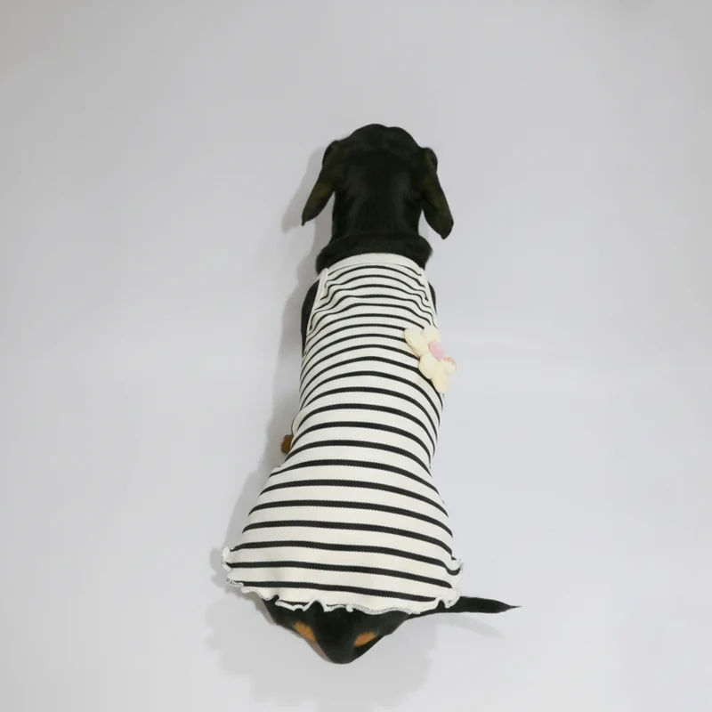 T-Shirt Eté En Coton Pour Chien Teckel