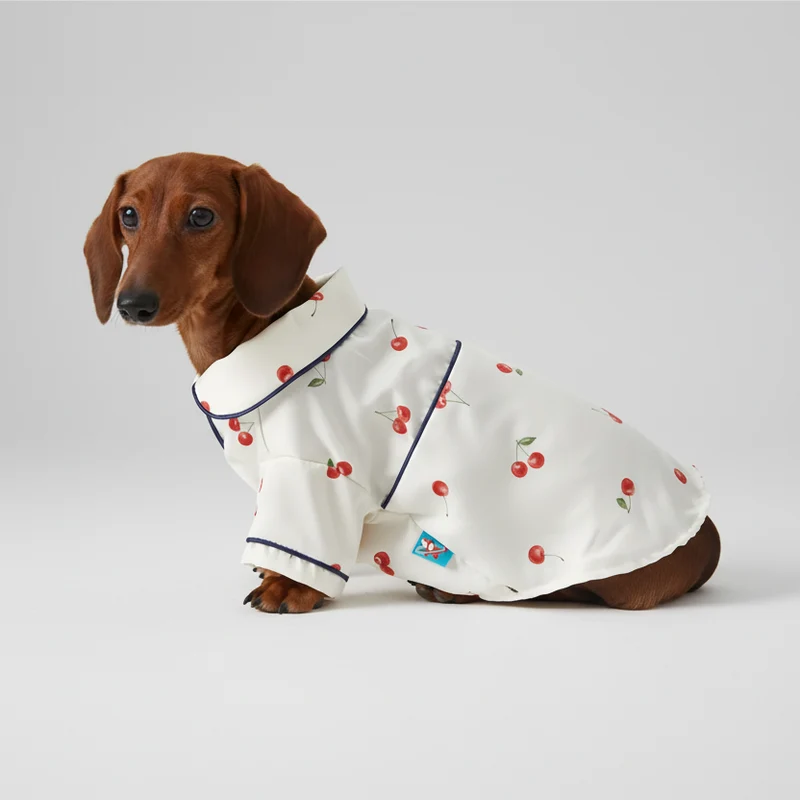 Pyjama Doux Et Confortable Pour Teckel
