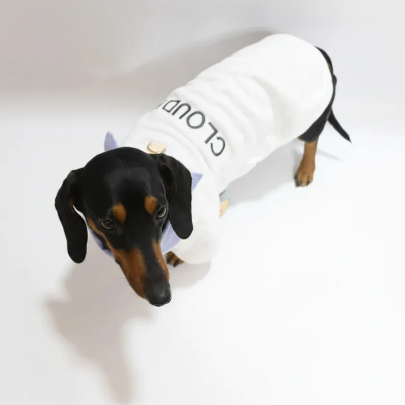 Sweat Col Chemise Pour Chien Teckel