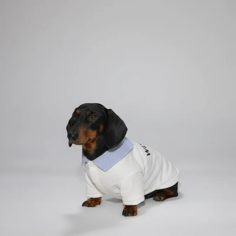 Sweat Col Chemise Pour Chien Teckel