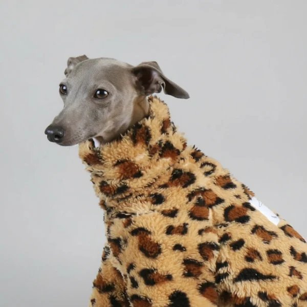 Pull Polaire Léopard Pour Whippet Lévrier