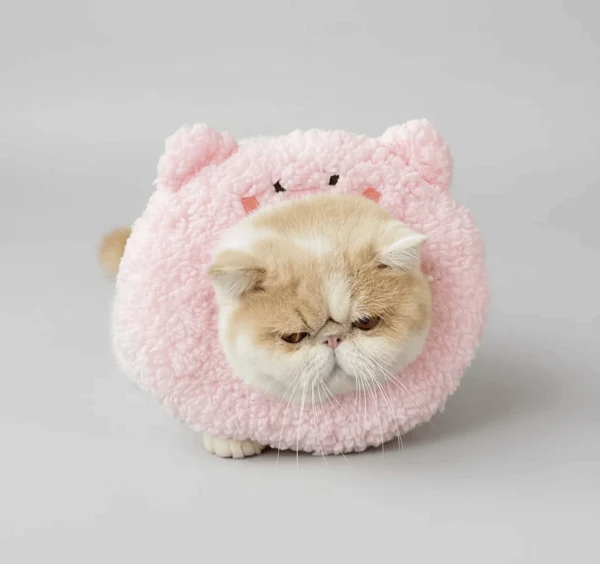 Collerette Pour Chat Confortable Et Douce