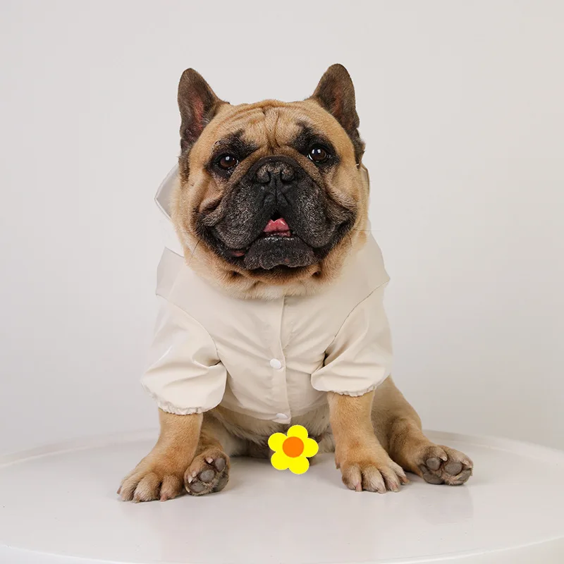 Manteau imperméable pour bouledogue français : doudoune chic et coupe-vent pour l’hiver