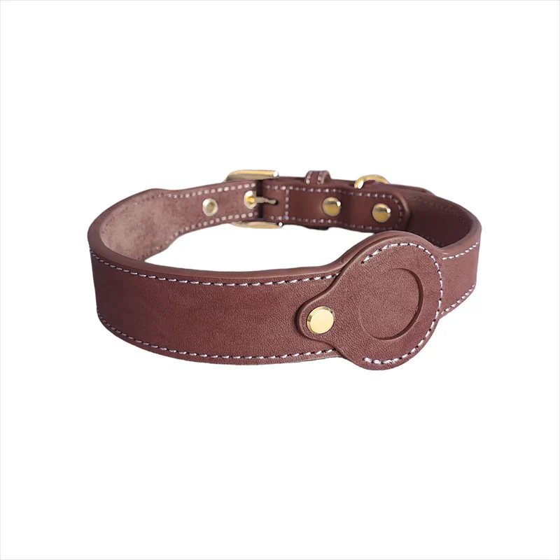 Collier Pour Chien AirTag En Cuir Véritable