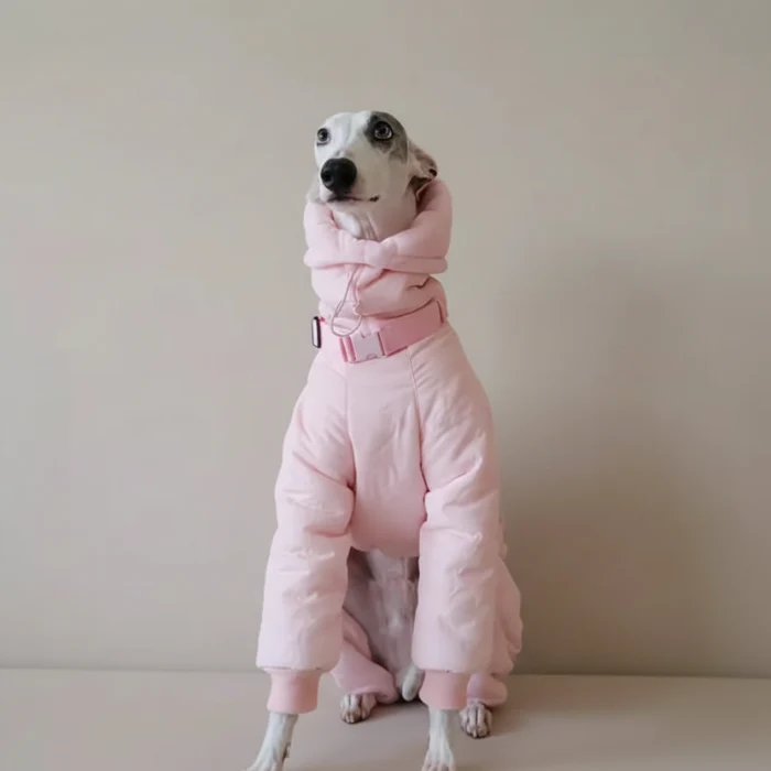 Doudoune Imperméable Pour Lévrier Et Whippet