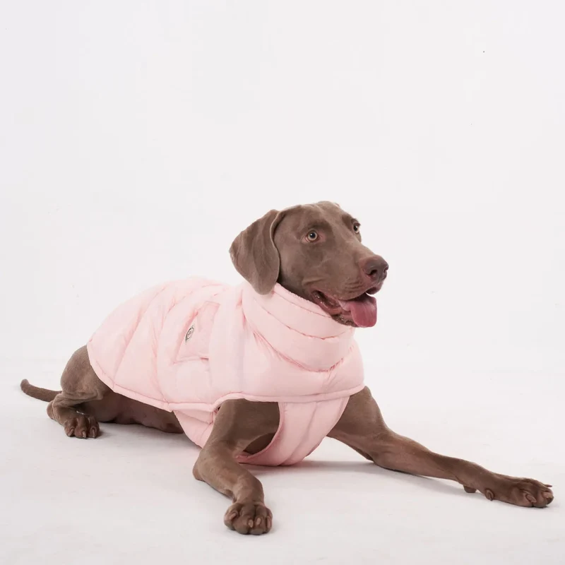 Doudoune pour Chien Avec Capuche Doublé Polaire - Les Bonnes Affaires