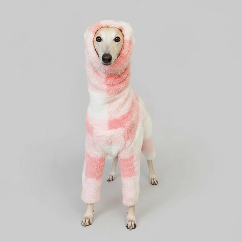 Pull Pour Lévrier Motif Carreaux Rose Blanc