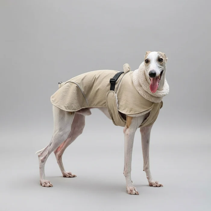 Manteau Chaud Pour Chien Whippet Et Lévrier
