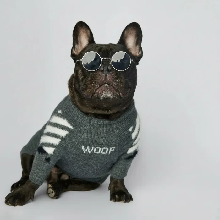 Pull Chaud Pour Chien Avec Motif Os