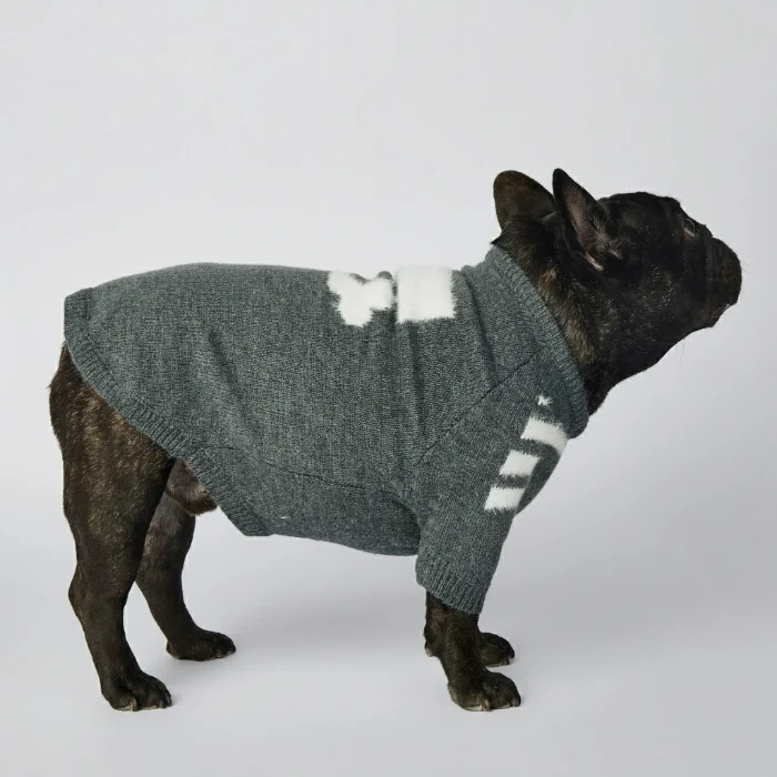 Pull Chaud Pour Chien Avec Motif Os