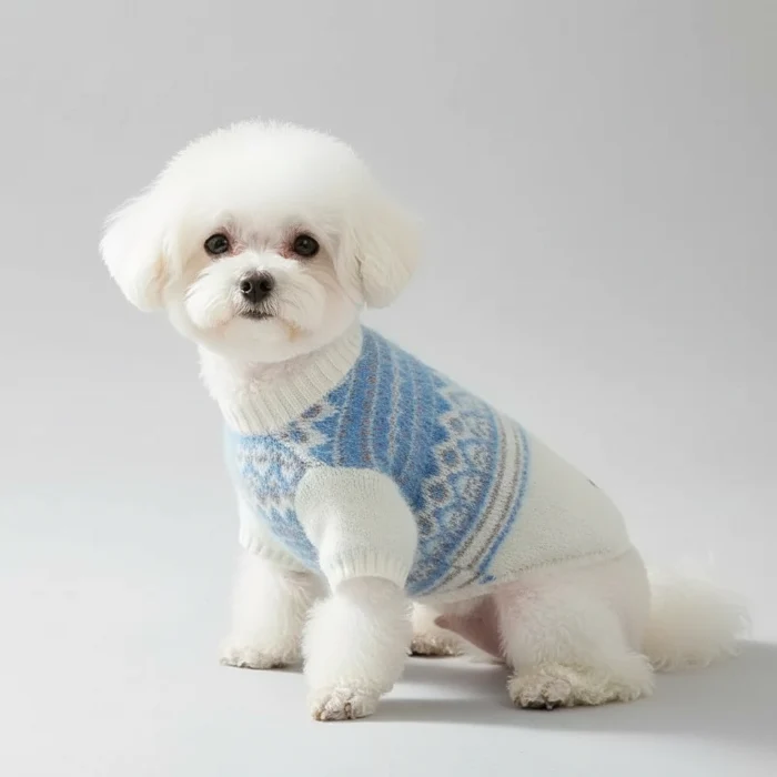Pull Chaud Pour Petit Chien Et Chat